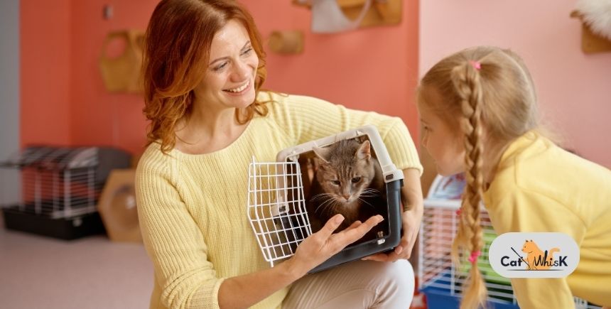 Shelter Adoption Guide