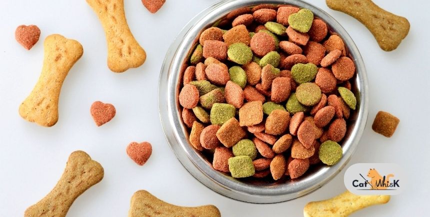 can dogs eat dry cat food