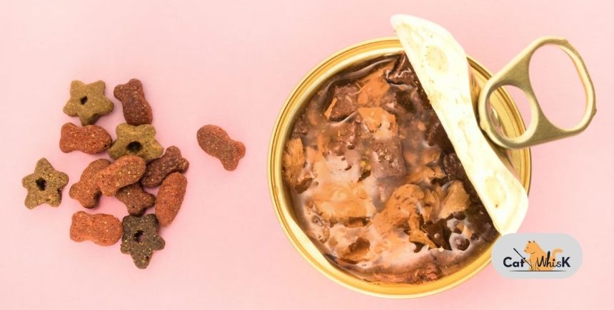 how much wet and dry food to feed a cat