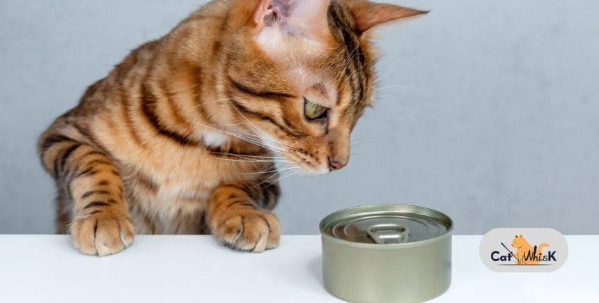 is merrick a good cat food