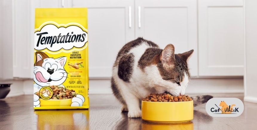 is temptations cat food good