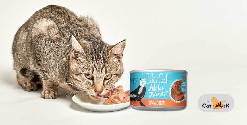 is tiki cat food good for kittens