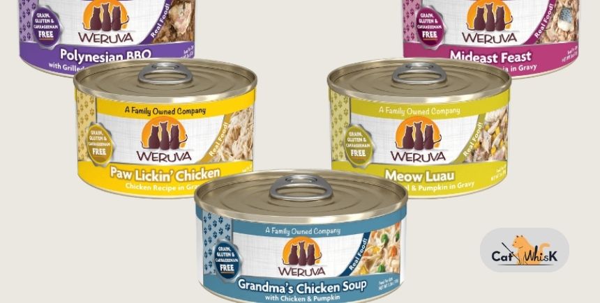 is weruva good cat food