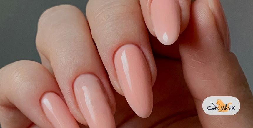 what is cat eye nail polish