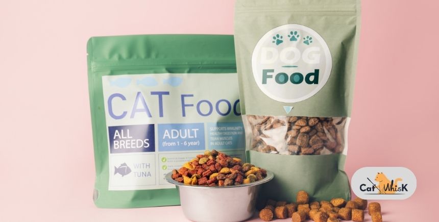 what size bag dry cat food should i get