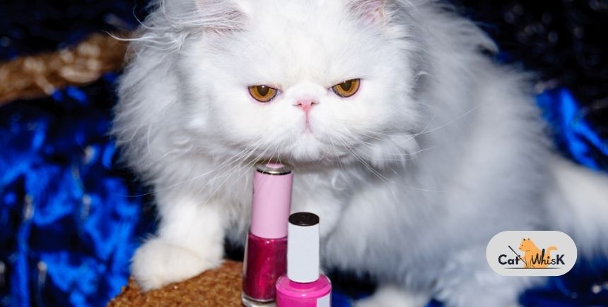 how to use cat eye nail polish