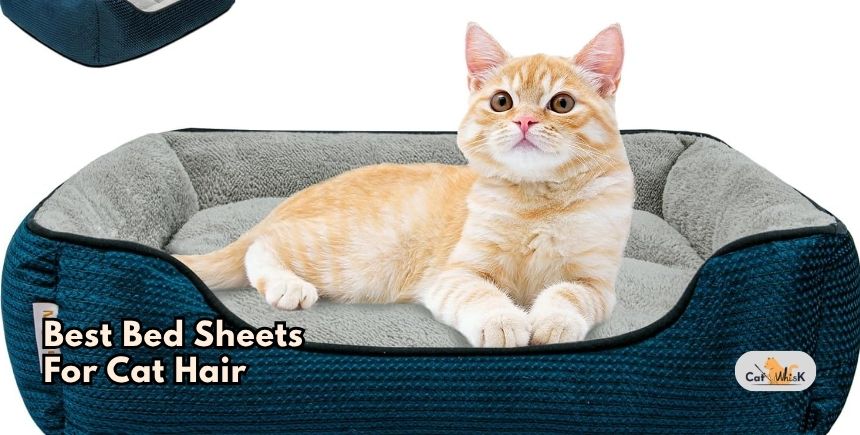 best bed sheets for cat hair