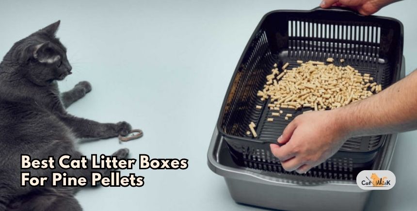 best cat litter boxes for pine pellets