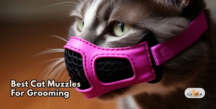 best cat muzzles for grooming