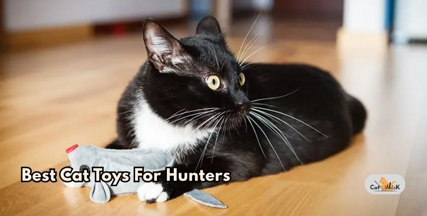 best cat toys for hunters