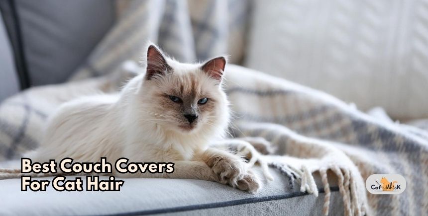 best couch covers for cat hair