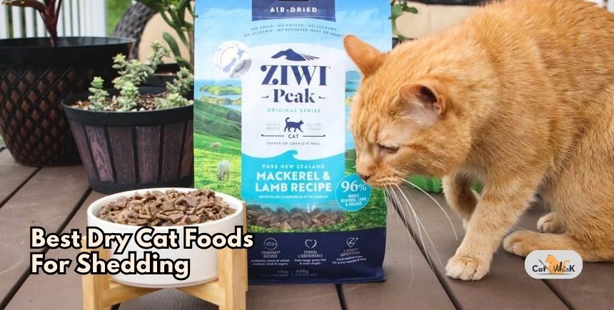 best dry cat foods for shedding