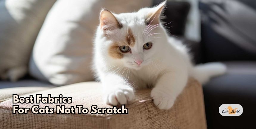 best fabrics for cats not to scratch