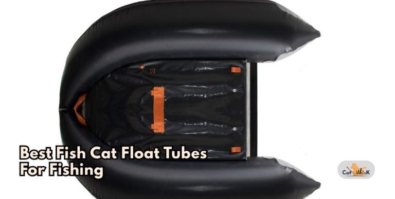 Our 8 Best Fish Cat Float Tubes For Fishing To Buy In 2026 - Cat Whisk