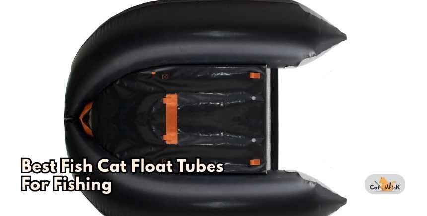 best fish cat float tubes for fishing