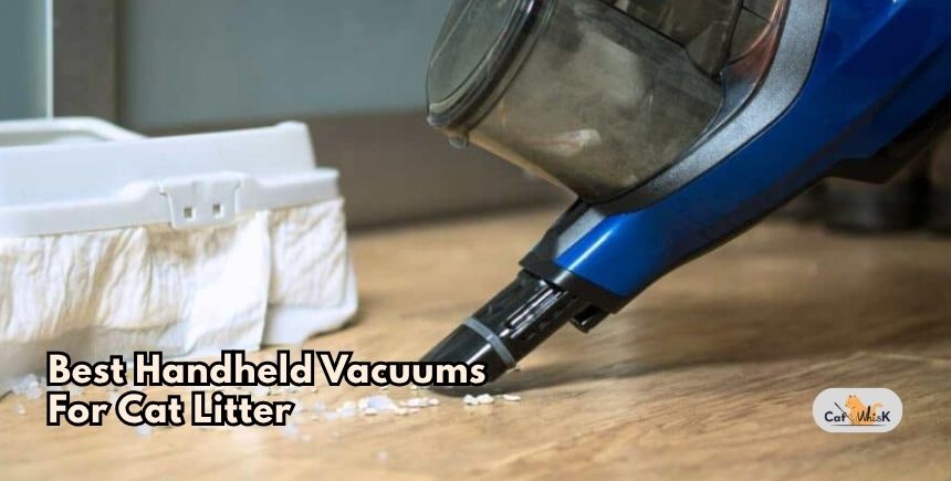 best handheld vacuums for cat litter