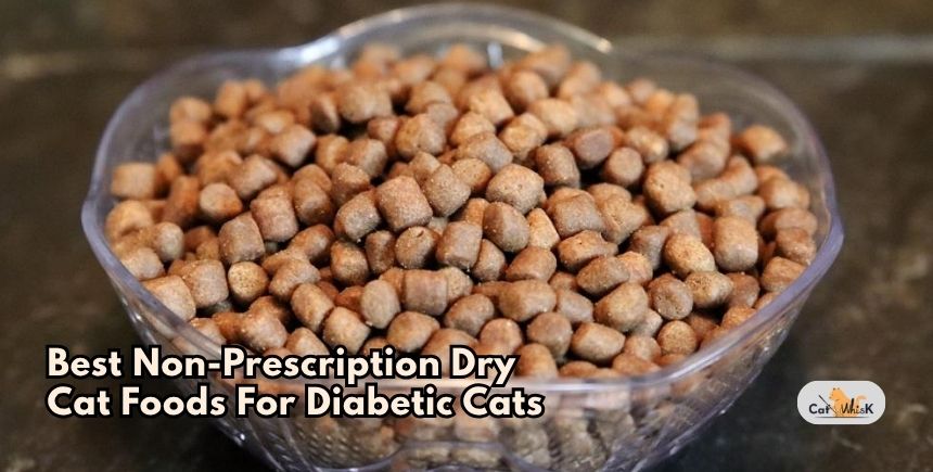 best non-prescription dry cat foods for diabetic cats