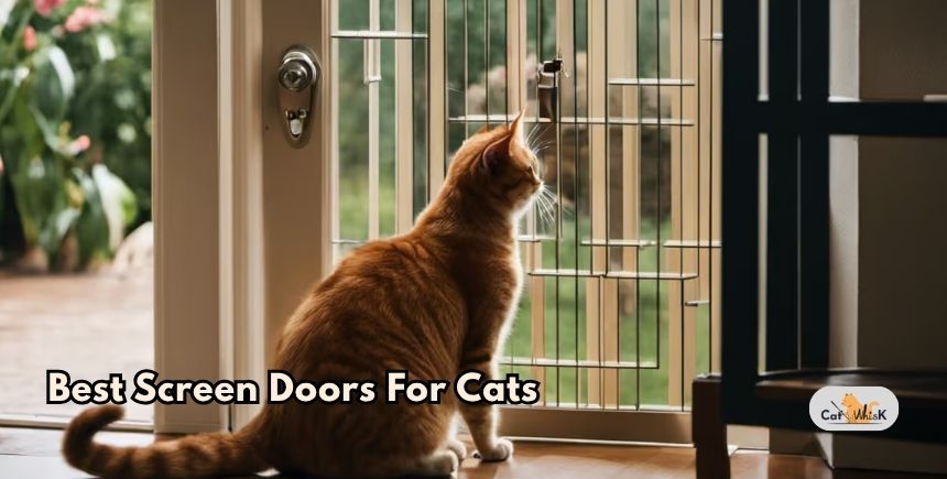 best screen doors for cats