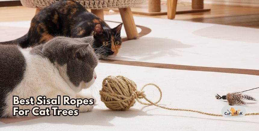 best sisal ropes for cat trees