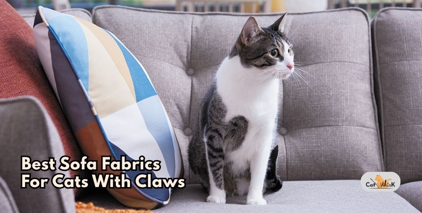 best sofa fabrics for cats with claws