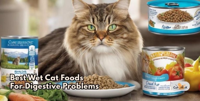 8 Best Wet Cat Foods For Digestive Problems To Buy In 2026 - Cat Whisk