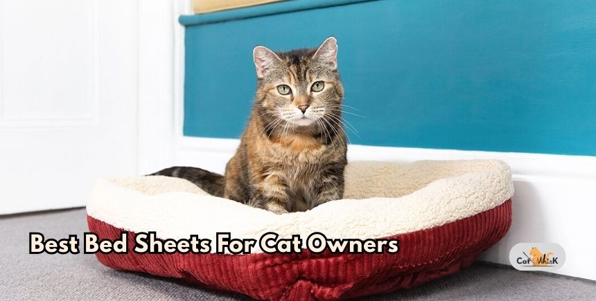best bed sheets for cat owners