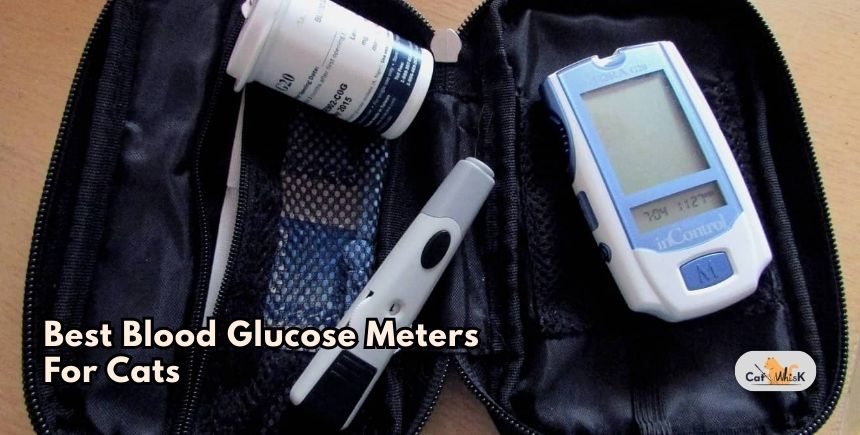best blood glucose meters for cats
