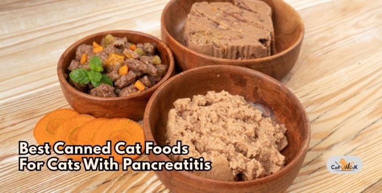 Photo inspiration: Picture Idea: Top 8 Best Canned Cat Foods For Cats With Pancreatitis