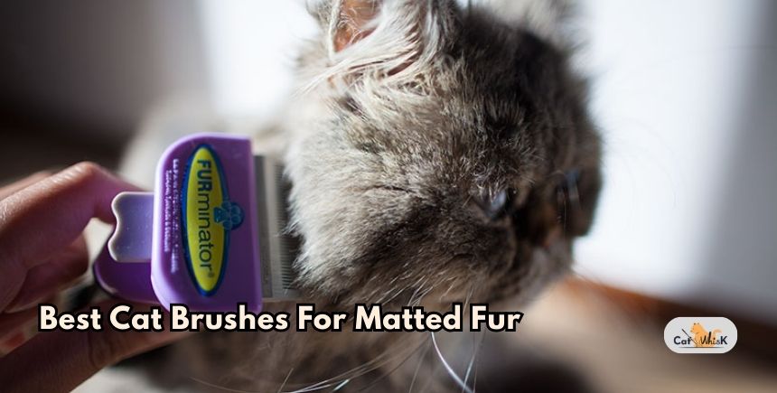 best cat brushes for matted fur