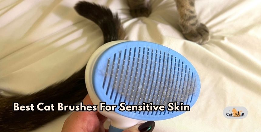 best cat brushes for sensitive skin