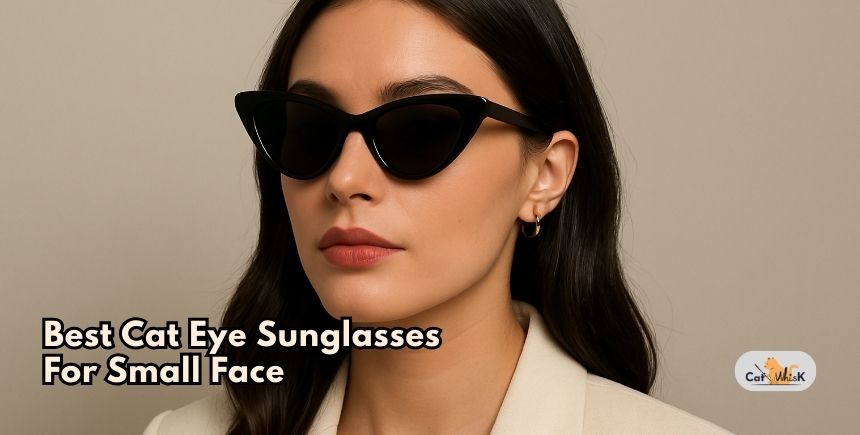 best cat eye sunglasses for small face