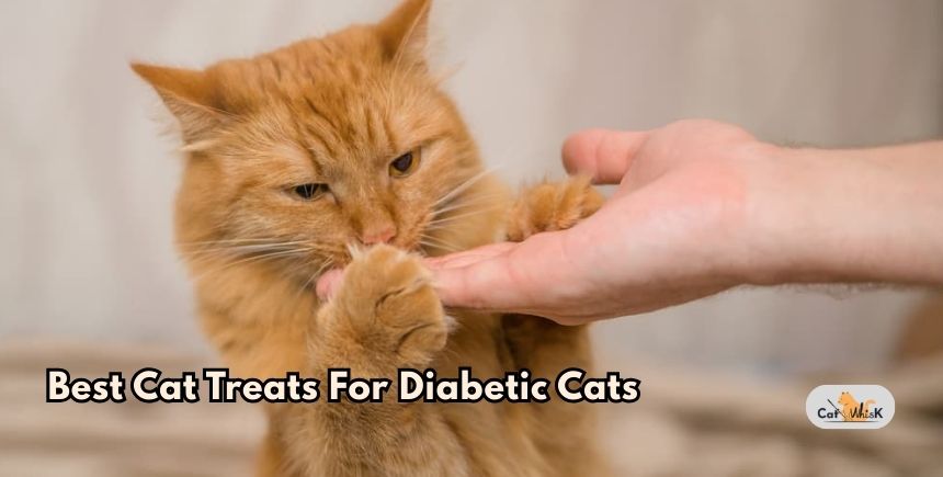 best cat treats for diabetic cats