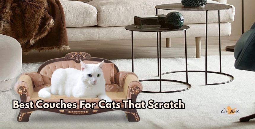 best couches for cats that scratch
