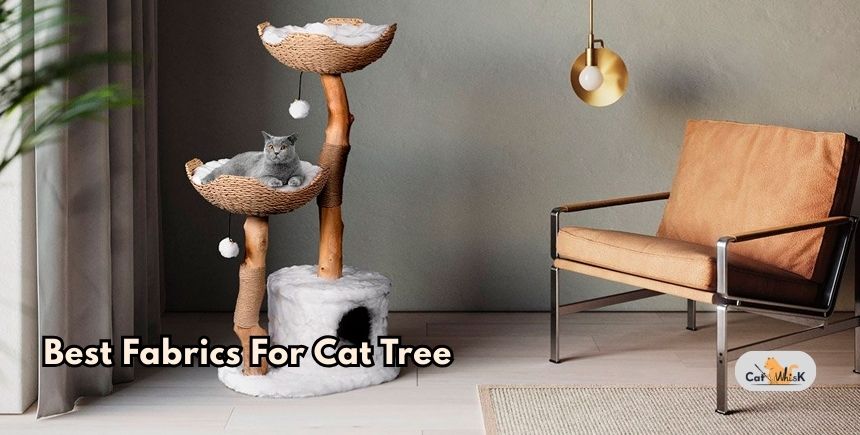 best fabrics for cat tree