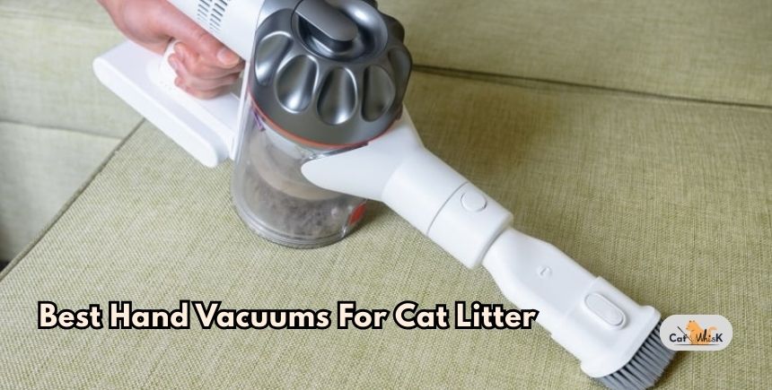 best hand vacuums for cat litter