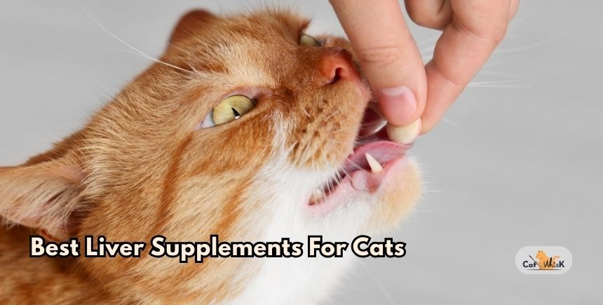 best liver supplements for cats