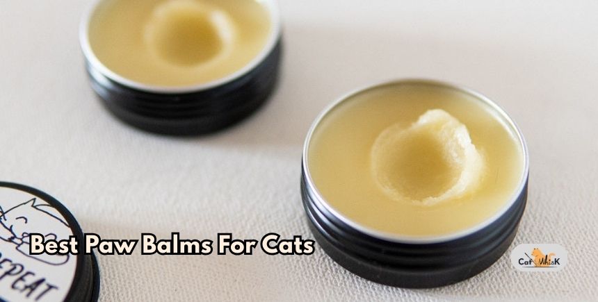 best paw balms for cats