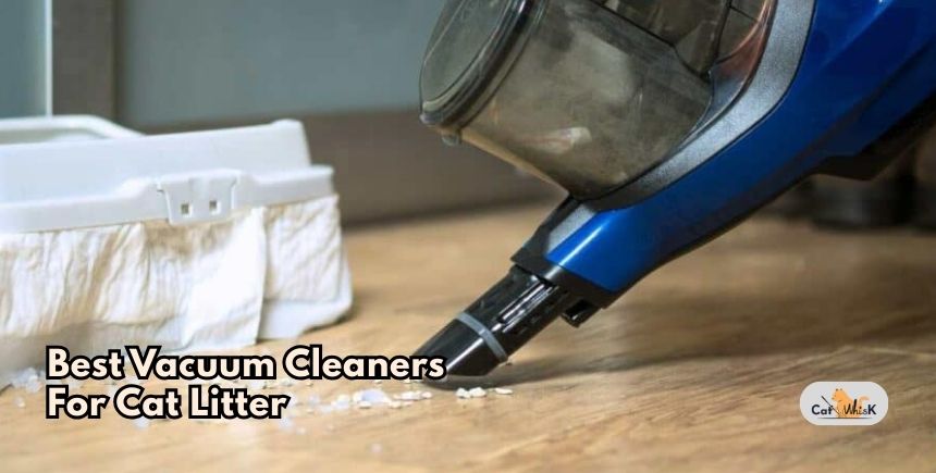 best vacuum cleaners for cat litter