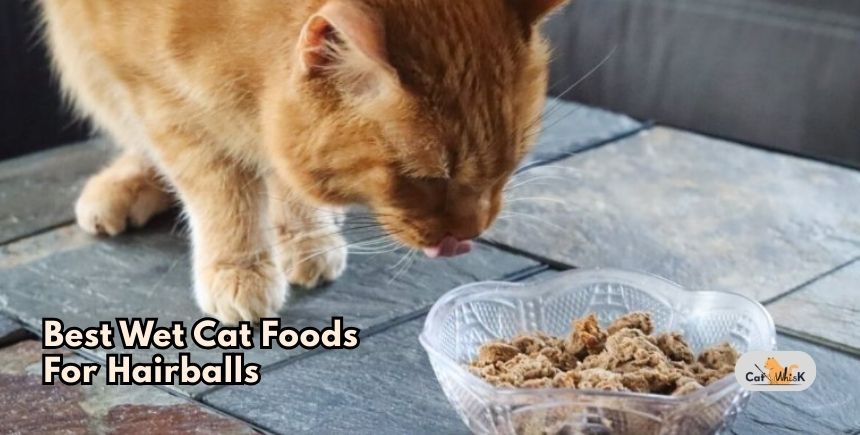 best wet cat foods for hairballs