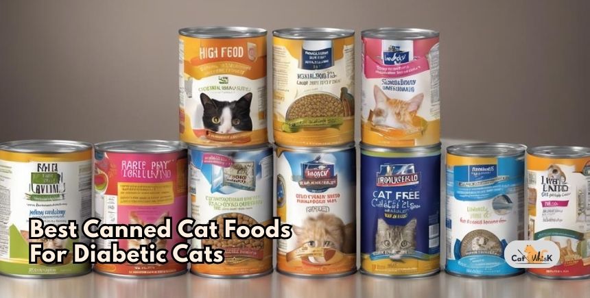best canned cat foods for diabetic cats