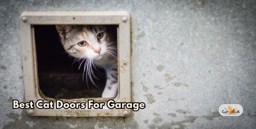 best cat doors for garage