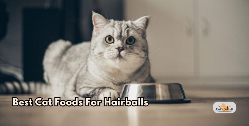best cat foods for hairballs