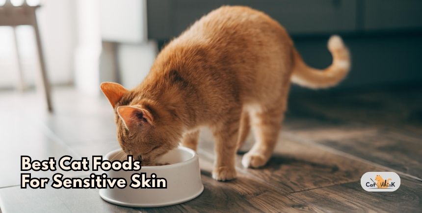 best cat foods for sensitive skin