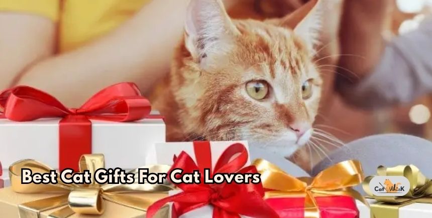best cat gifts for cat lovers