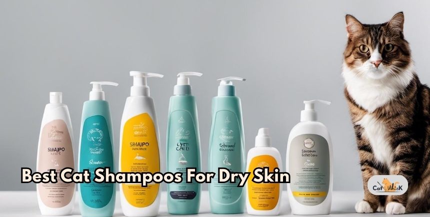 best cat shampoos for dry skin