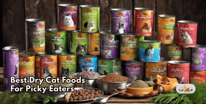 best dry cat foods for picky eaters
