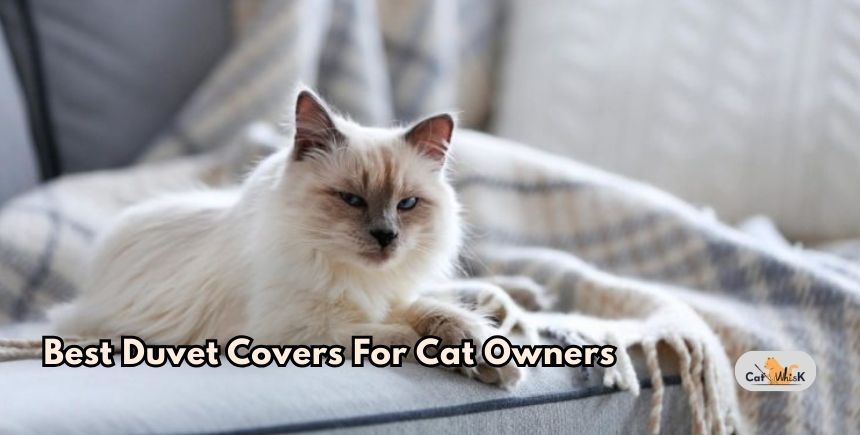 best duvet covers for cat owners
