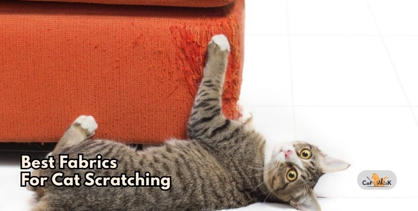 best fabrics for cat scratching