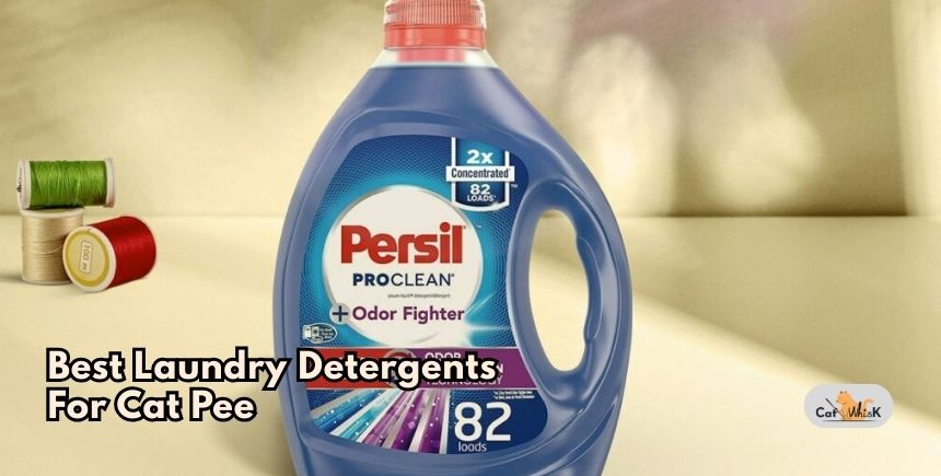 best laundry detergents for cat pee