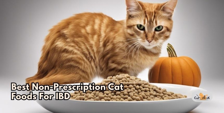best non-prescription cat foods for ibd